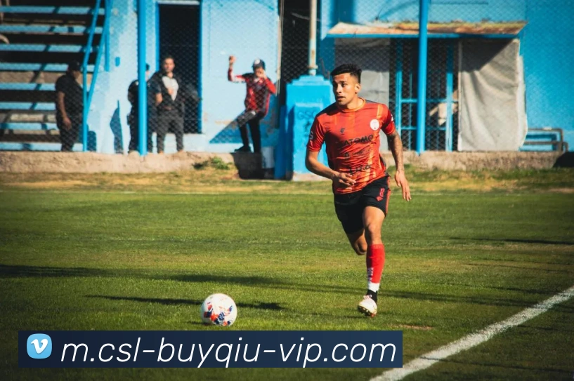 中超买球平台生态图